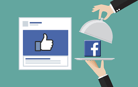 What is facebook marketing software?