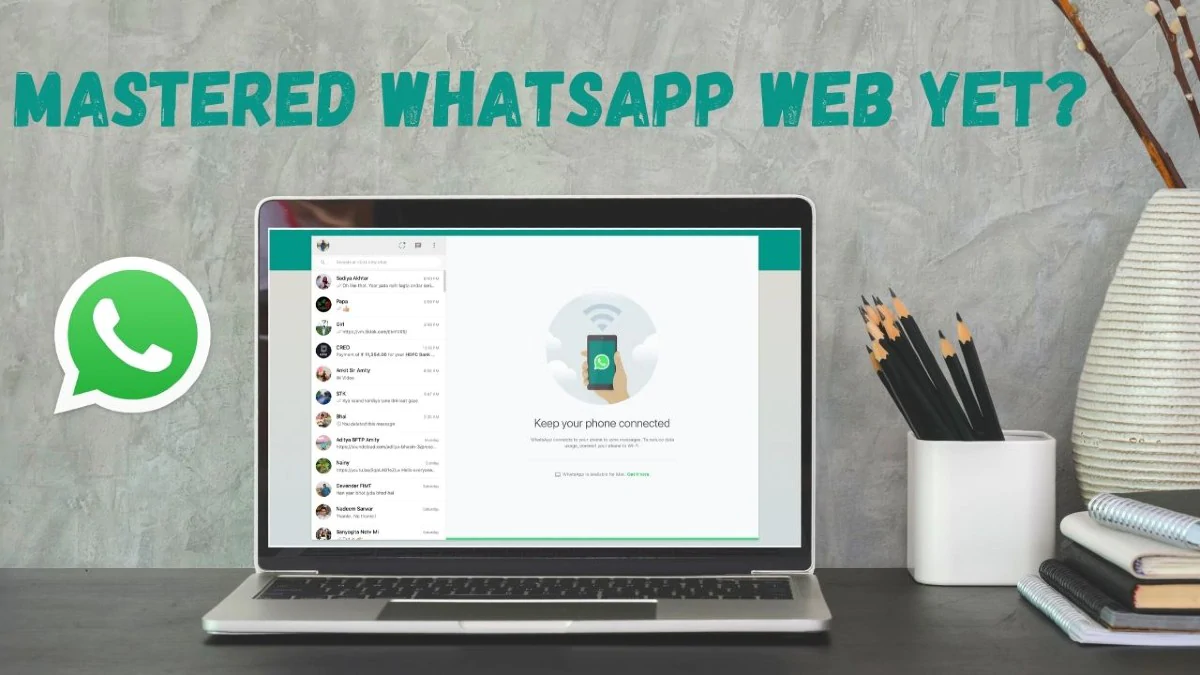 How to filter Italian users using WhatsApp filter software?