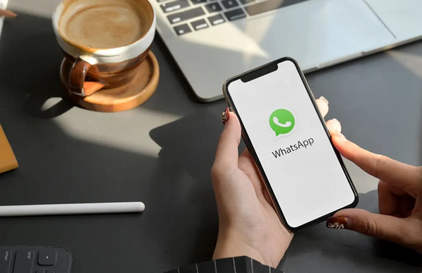 How To Check WhatsApp Number Online？