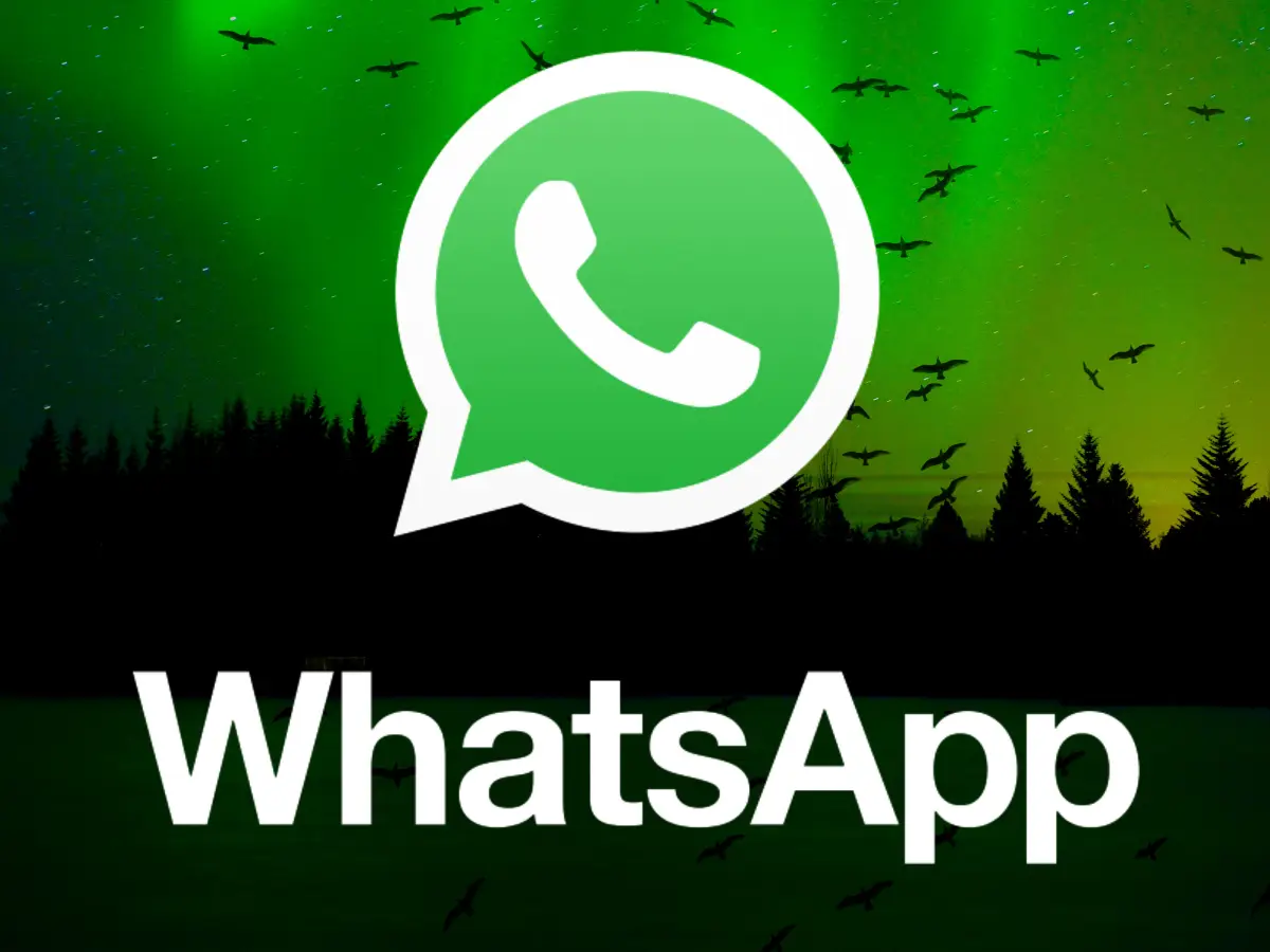 Saudi Arabia WhatsApp number filter