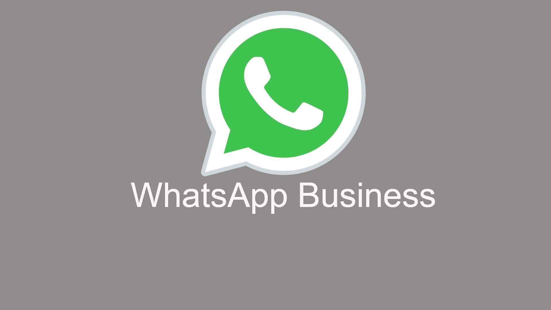 WhatsApp Business API Specific Scenarios