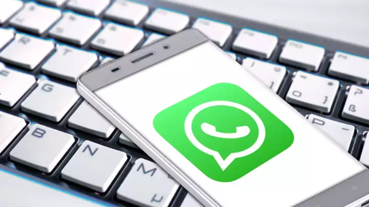 Filter WhatsApp numbers online for free