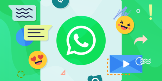 Filter WhatsApp Numbers Online