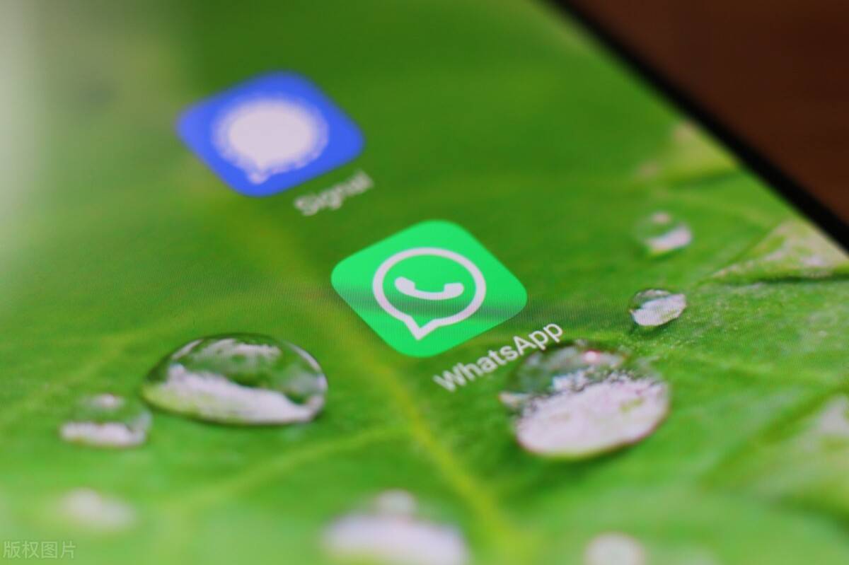 whatsapp super turbo filter free download for pc