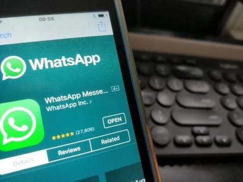 WhatsApp Number Scraper