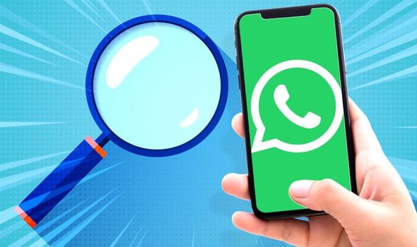 An in-depth analysis of WhatsApp's risk control logic