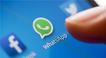 Why would you recommend WhatsApp business edition for your organization
