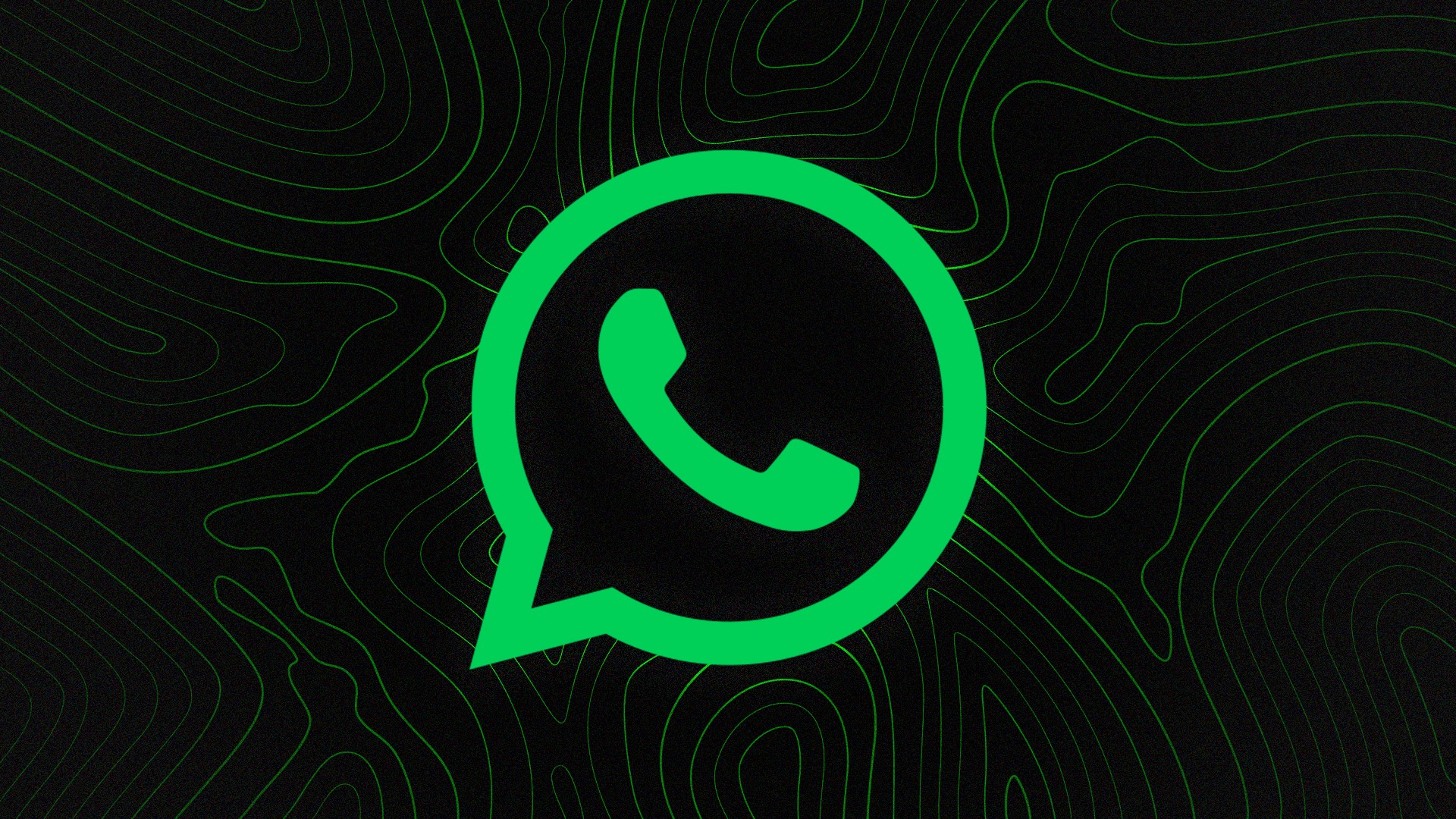 WhatsApp Number Verification Tool to Boost Marketing Efficiency