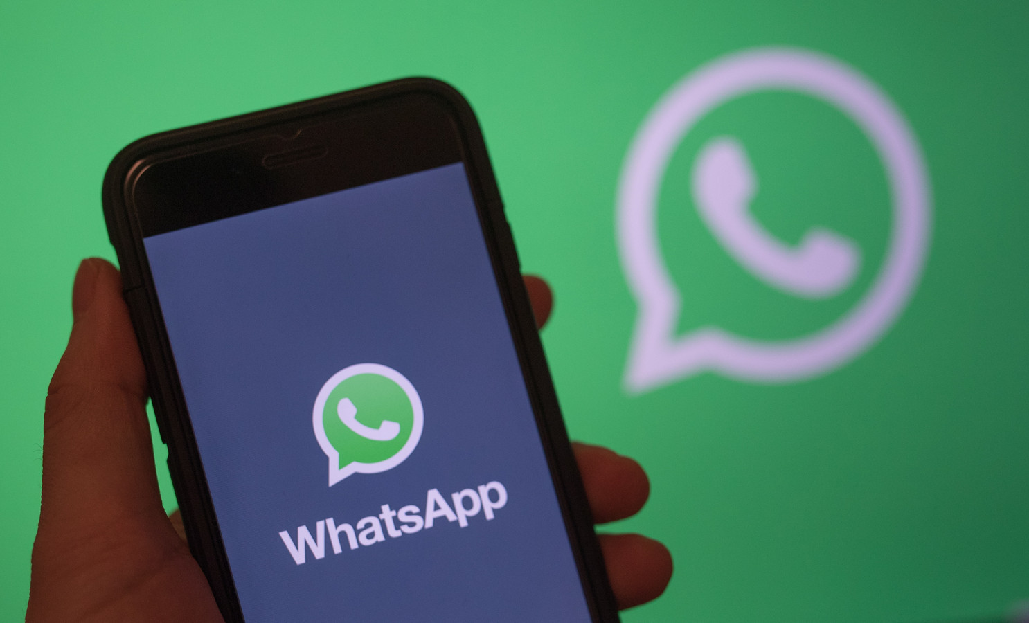 WhatsApp Number Verification Assistant is useful