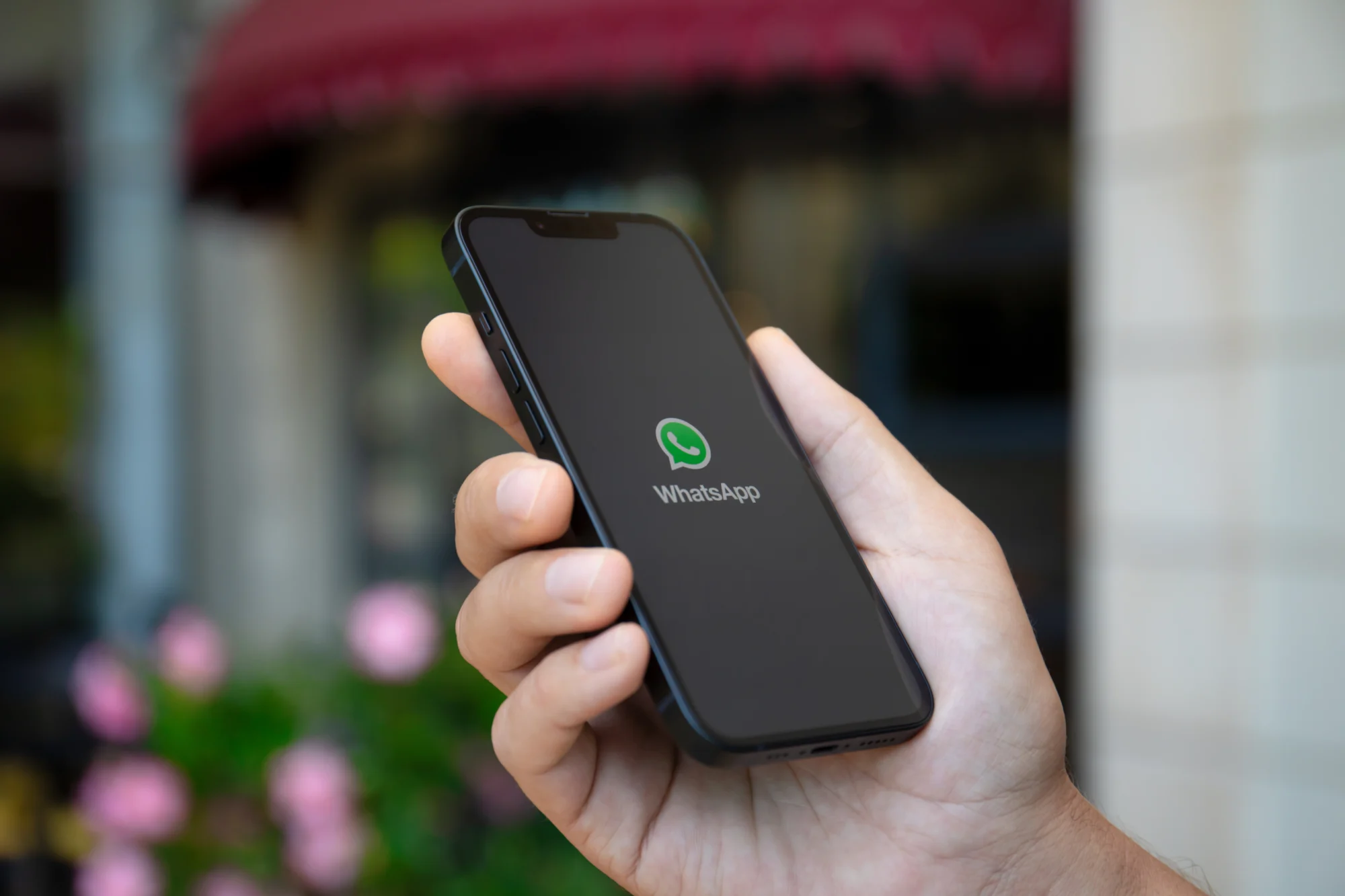 WhatsApp number screening software recommendation