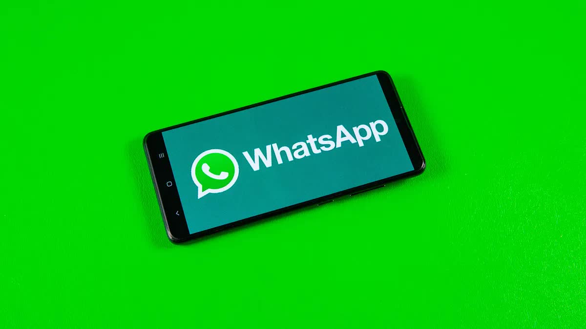 Check WhatsApp Number Tool: Are You Messaging Real WhatsApp Users?