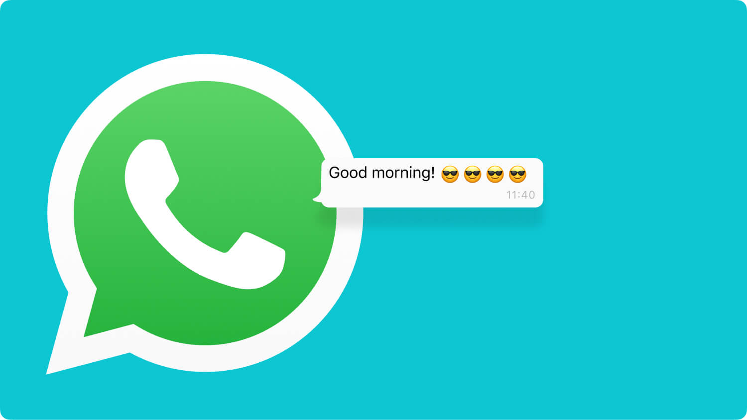 What are the WhatsApp Number Check Tool？