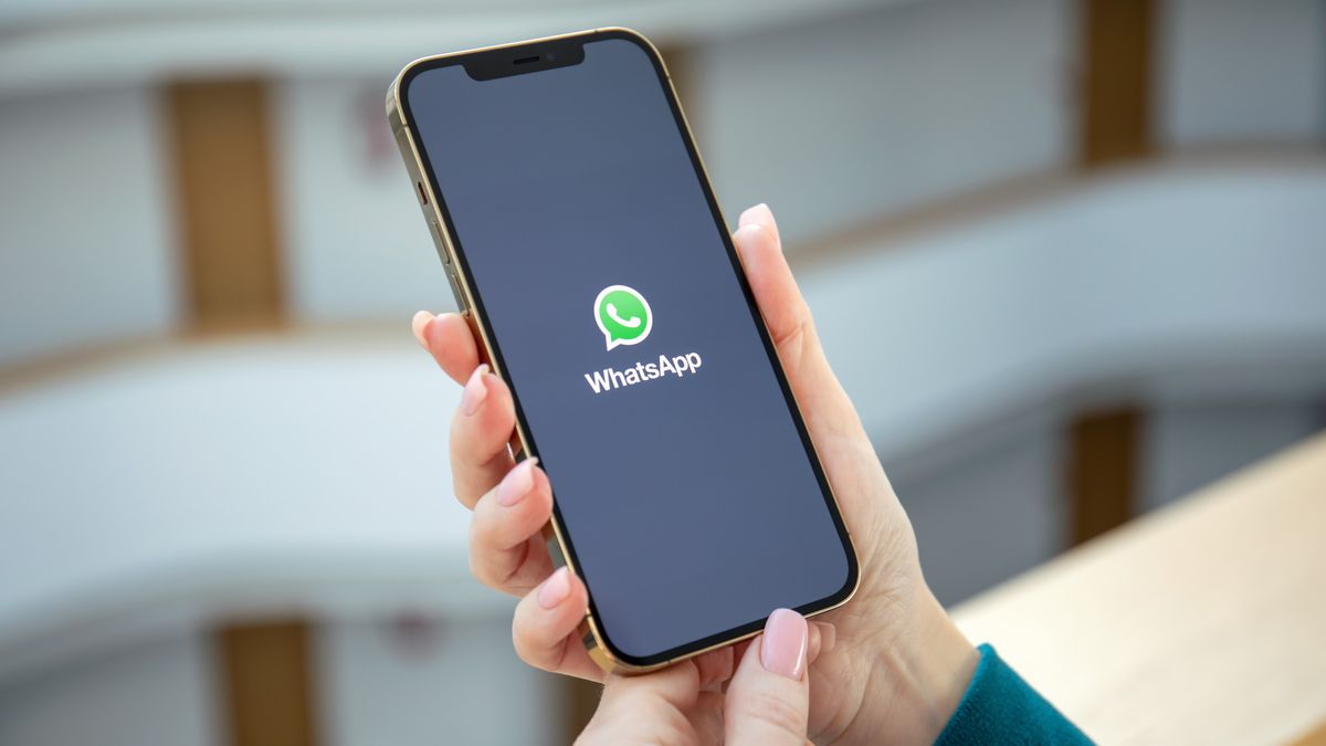 What to Pay Attention to When Choosing a WhatsApp Filters Software?