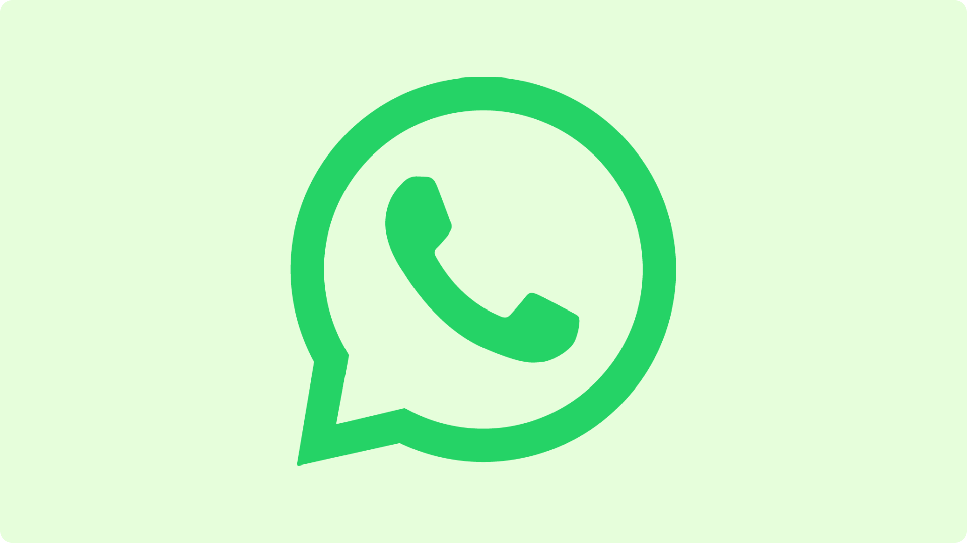 Check WhatsApp Number Tool:Are You Messaging Real WhatsApp Users?