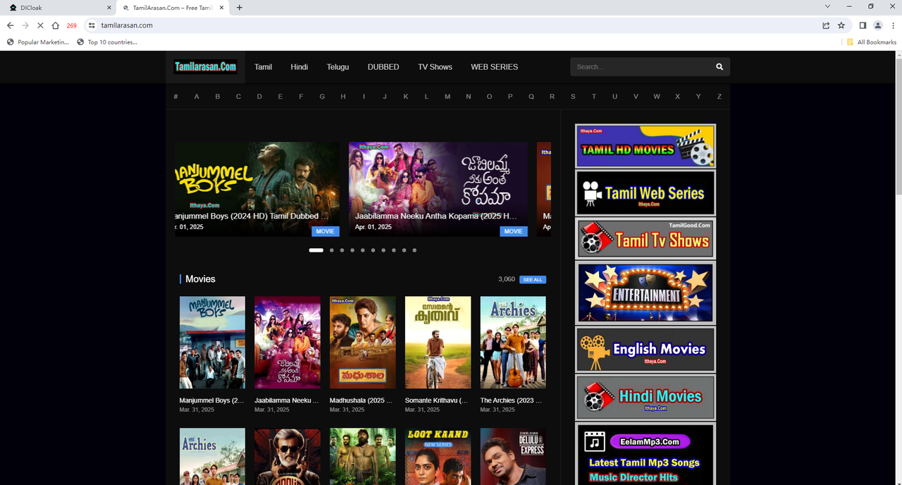 Are There Other Ways to Access TamilMV Besides Using a Proxy?
