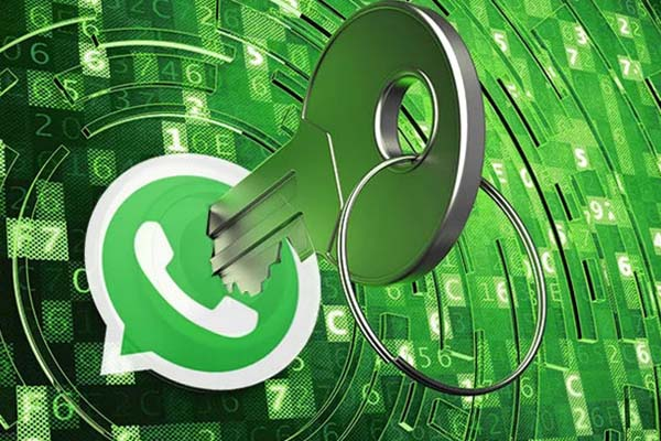 whatsapp marketing sms