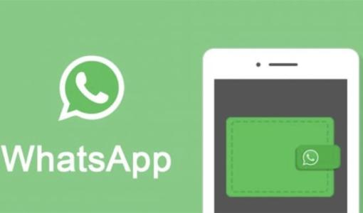 Whatsapp active account filter