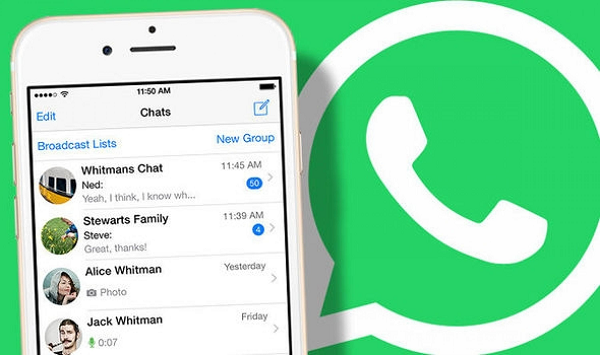 whatsapp number checker