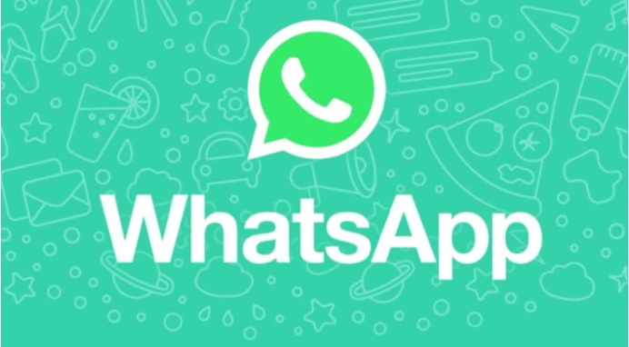 whatsapp number
