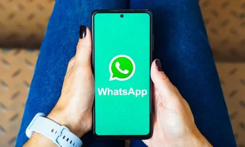 How to batch check if WhatsApp numbers are valid or active?