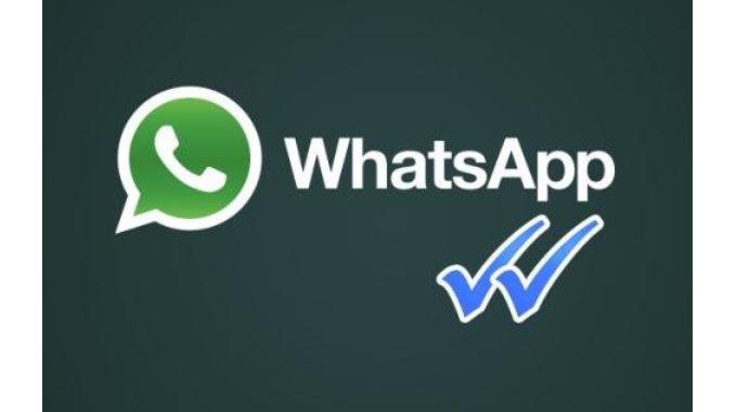 WhatsApp male and female screening