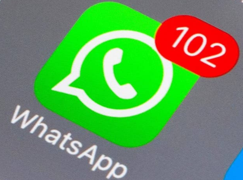 How to bulk add contacts in WhatsApp