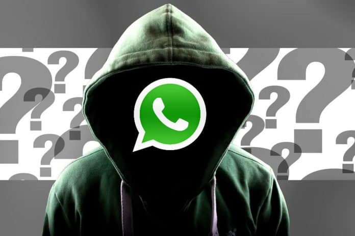 How to get active Whatsapp contacts