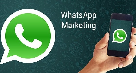 whatsApp Client Development Software