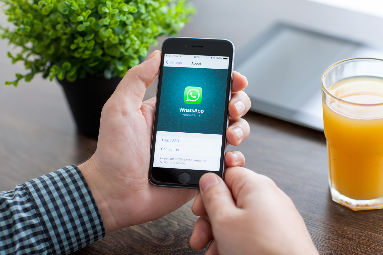 whatsApp assisted marketing tool