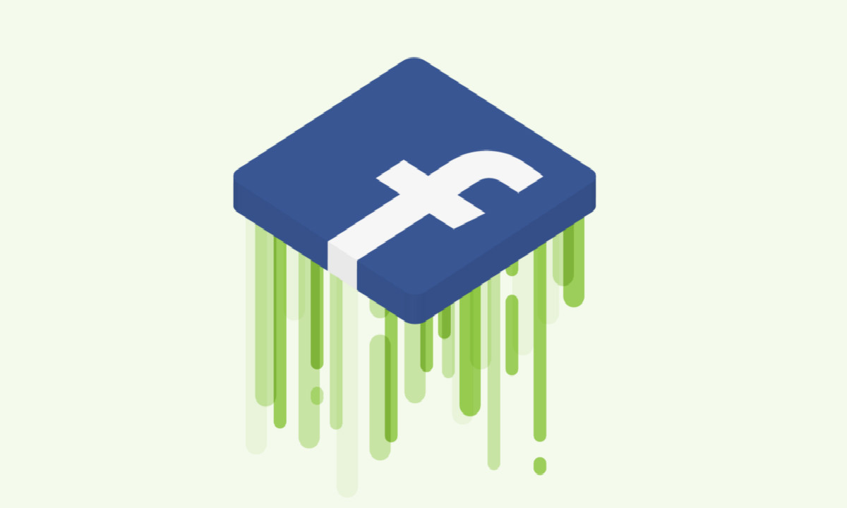 Facebook Customer Capture Software