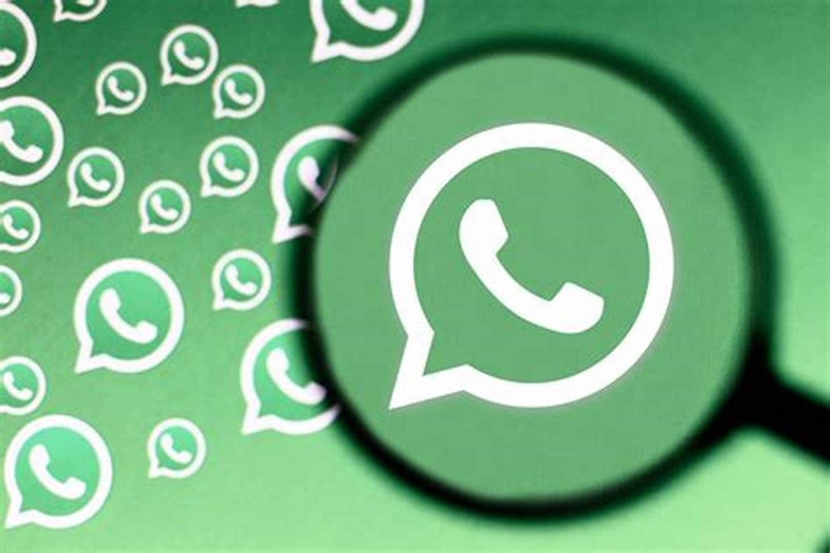 WhatsApp User Data Collection Software