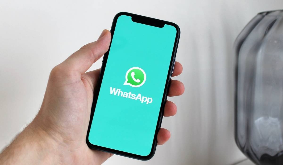 WhatsApp Signup Checker Software