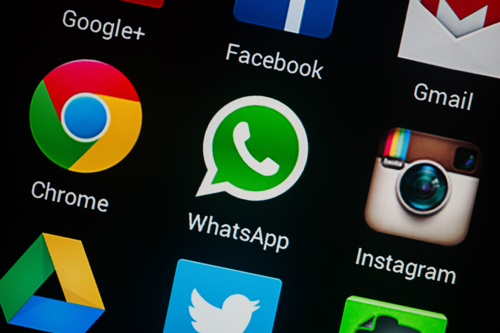 WhatsApp User Data Collection Software.