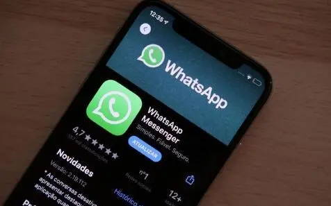 WhatsApp Number Screening Assistance
