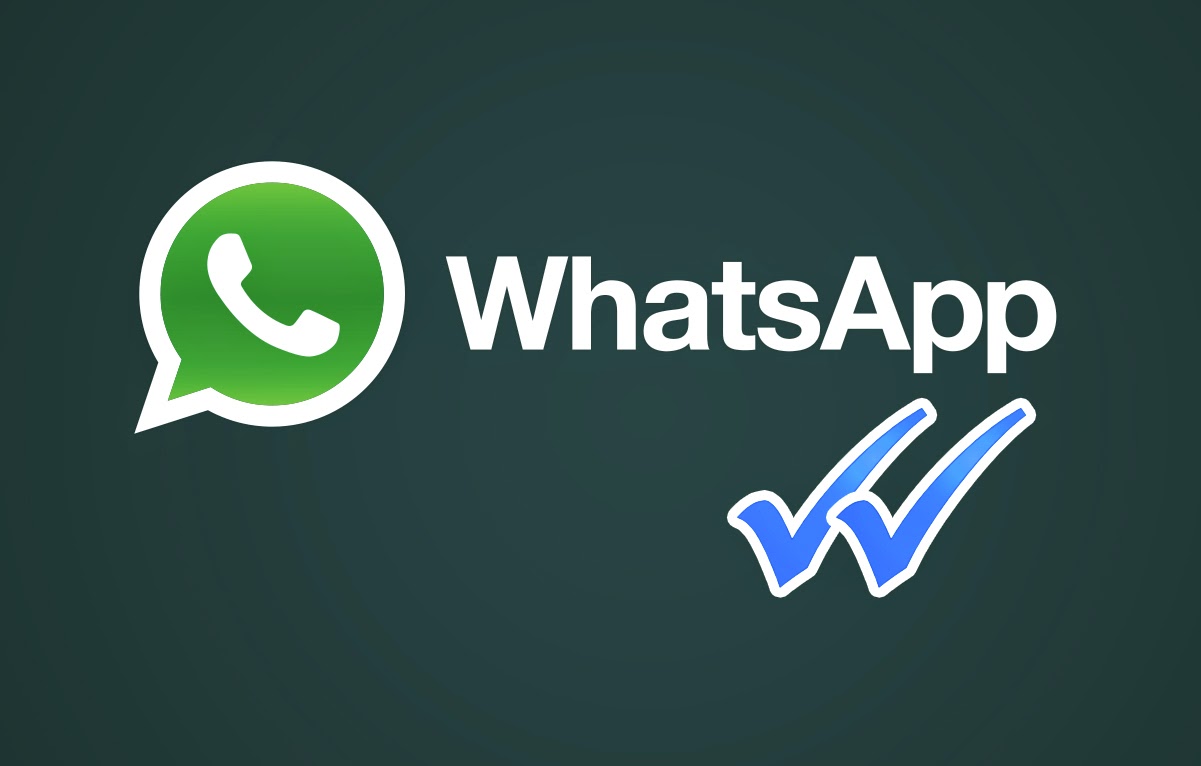WhatsApp Gender Filter Tool


