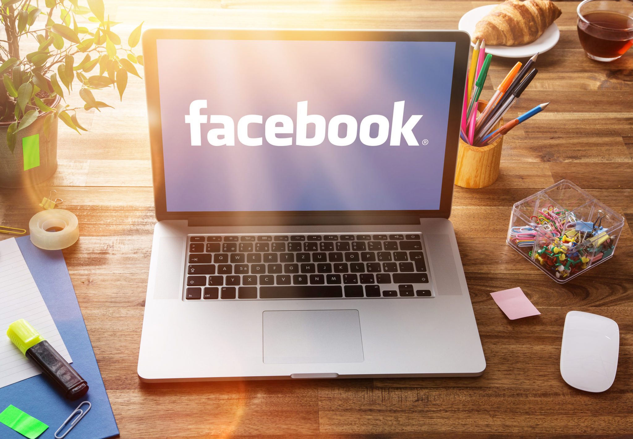 Facebook Marketing Promotion Software