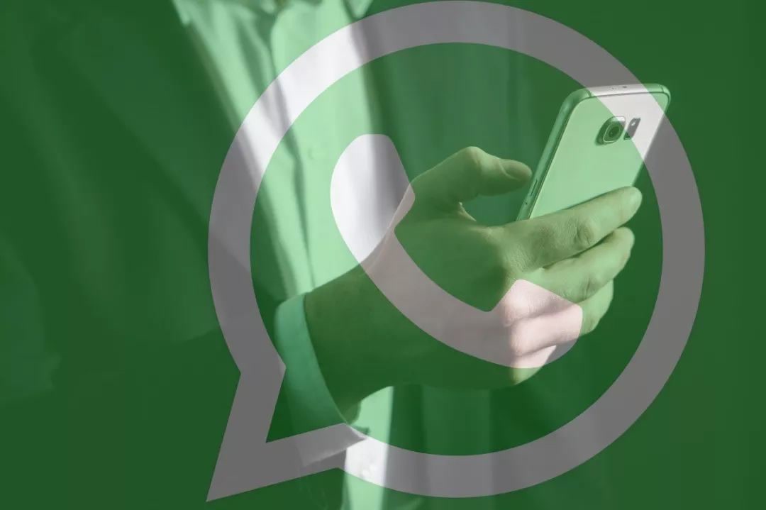 Whatsapp Number Checker Software